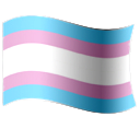 trans pride