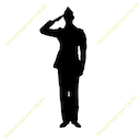 salute you